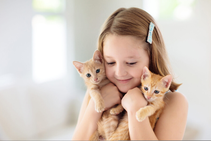 Gattoiala Ingenius MyPet, porta basculante termoisolante per cani e gatti