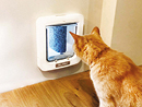 alpac gattaiola MyPet